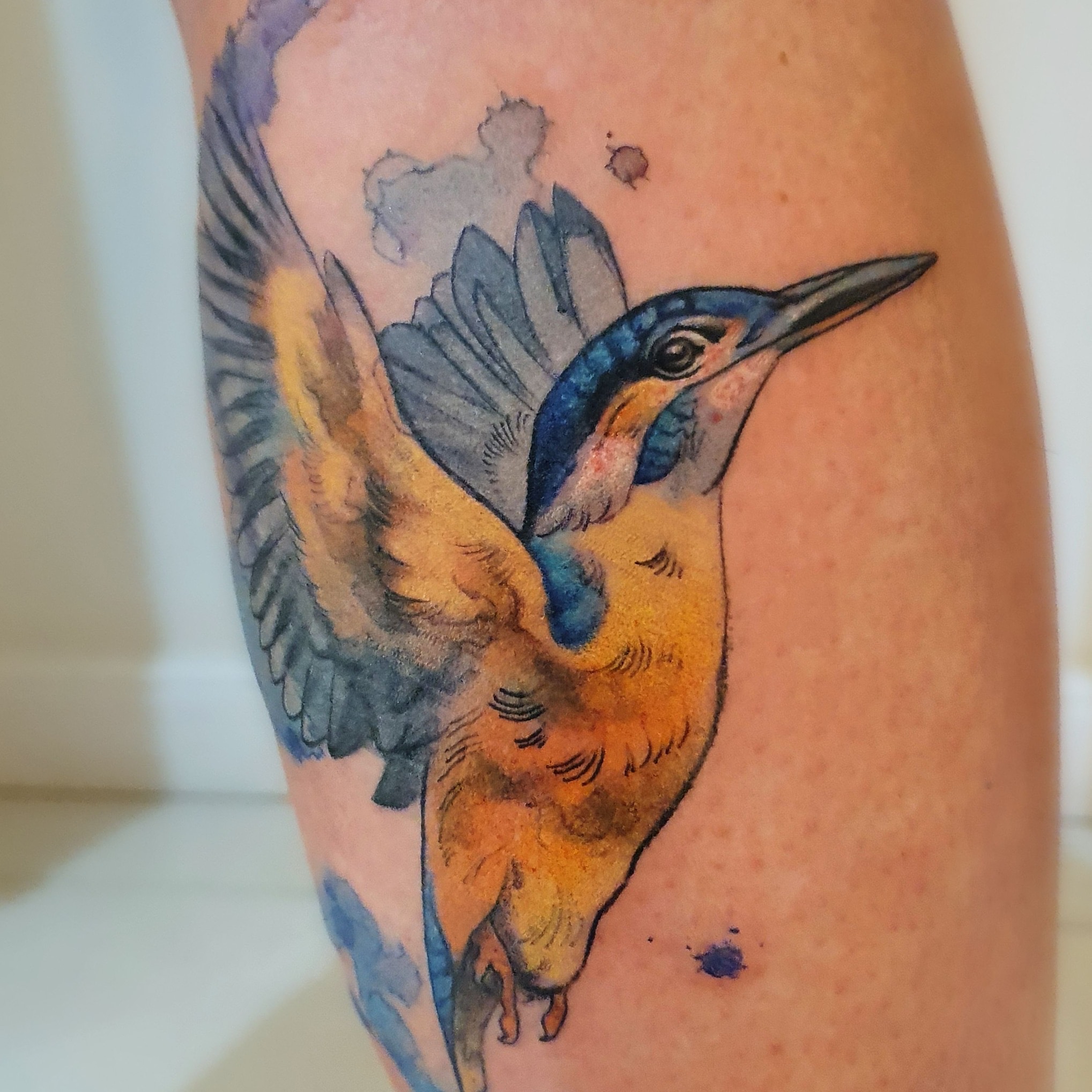 Colour Bird Tattoo - Ace Tattooz